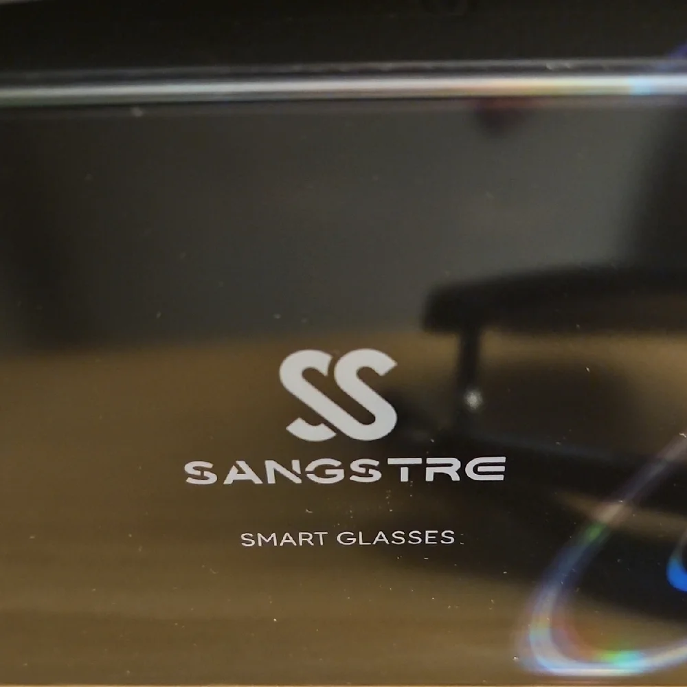 Sangstre Black Audio Smart Glasses with Gray Case